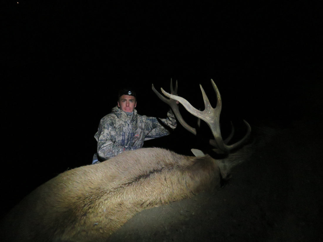 Red Stag Roar And Wapiti Ballot